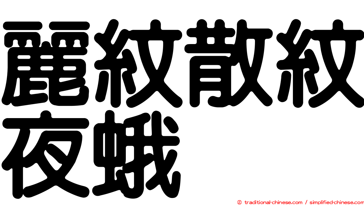 麗紋散紋夜蛾