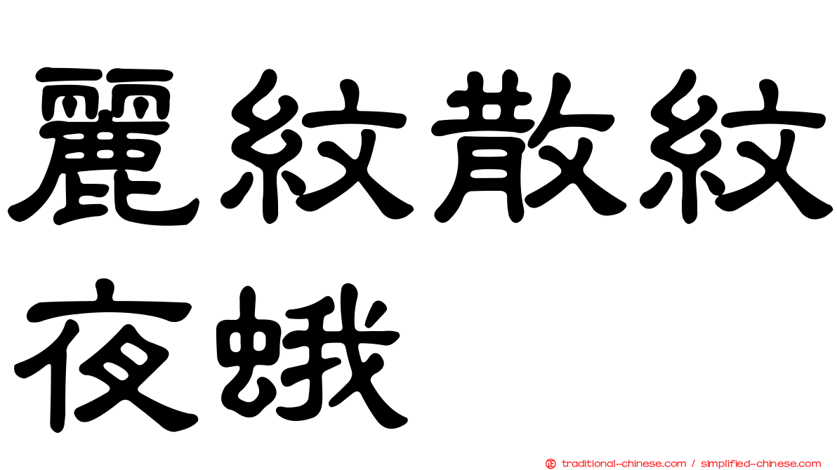 麗紋散紋夜蛾