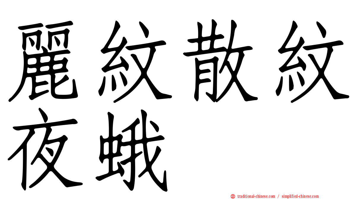 麗紋散紋夜蛾
