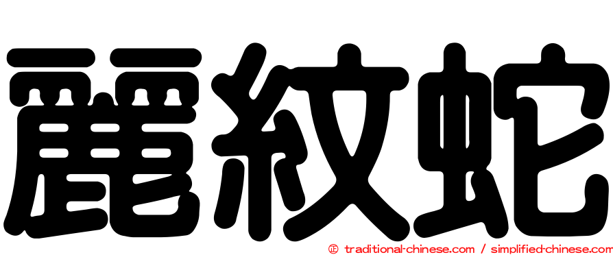 麗紋蛇