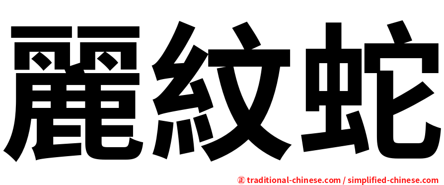 麗紋蛇