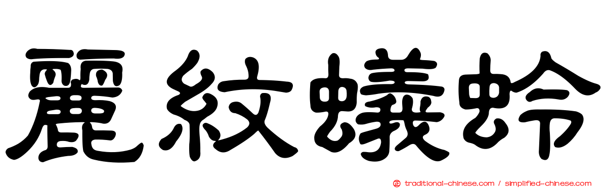 麗紋蟻蛉