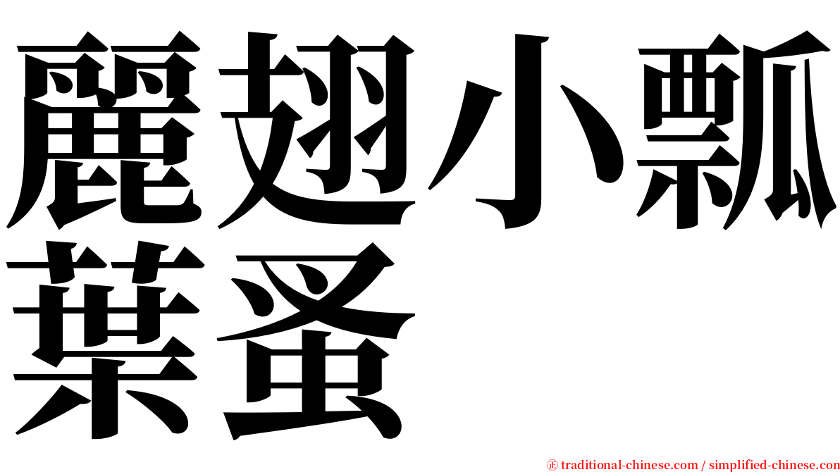 麗翅小瓢葉蚤 serif font
