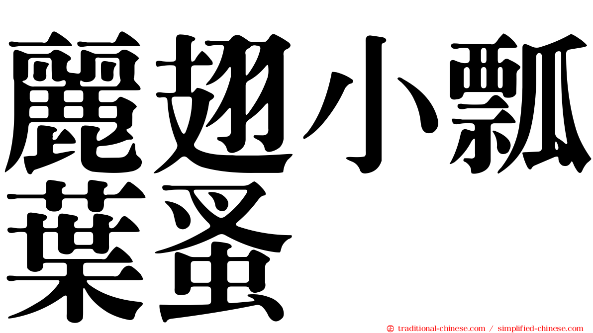 麗翅小瓢葉蚤