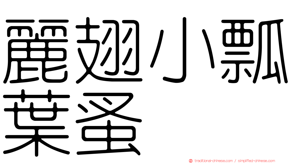麗翅小瓢葉蚤
