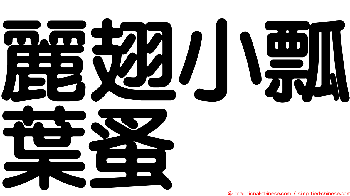 麗翅小瓢葉蚤