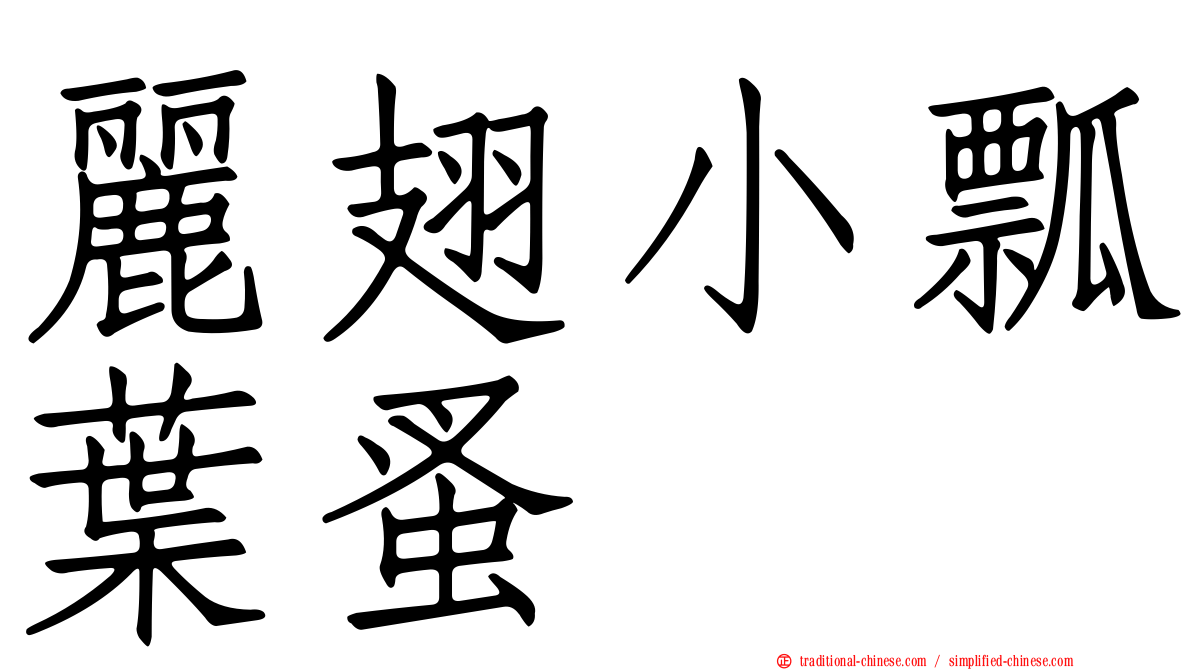 麗翅小瓢葉蚤