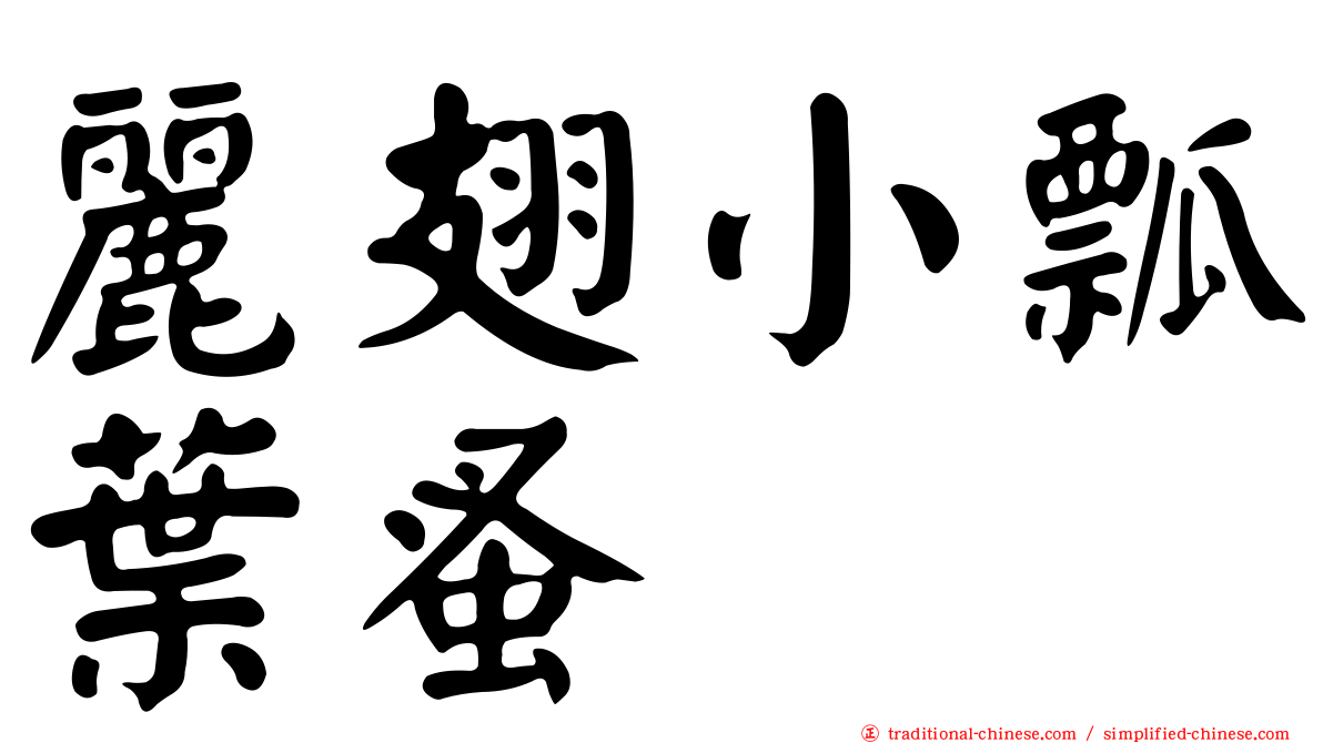 麗翅小瓢葉蚤