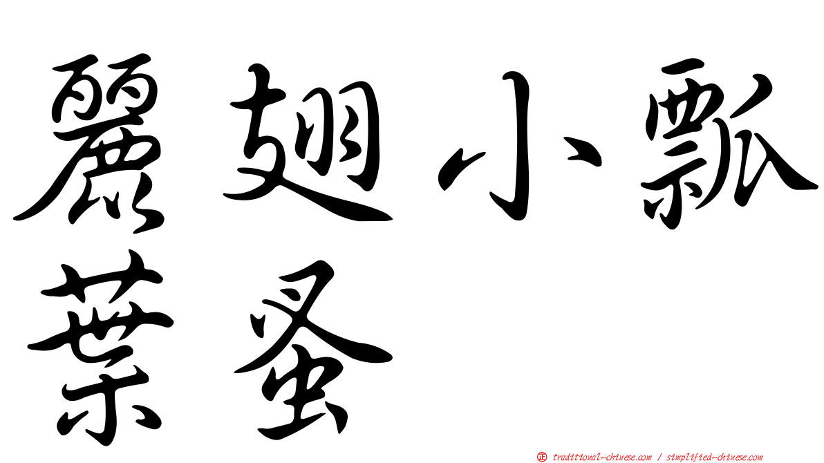 麗翅小瓢葉蚤