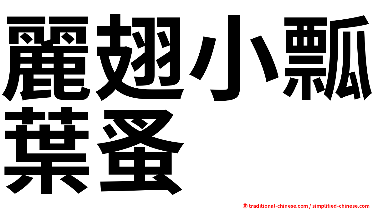 麗翅小瓢葉蚤