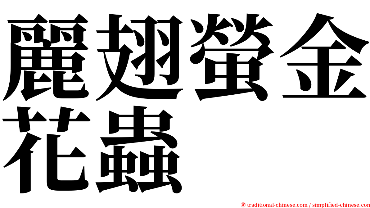 麗翅螢金花蟲 serif font