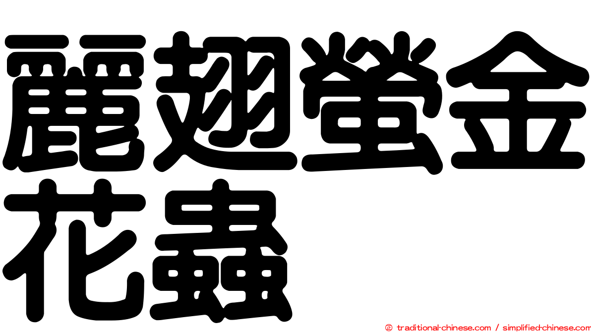 麗翅螢金花蟲