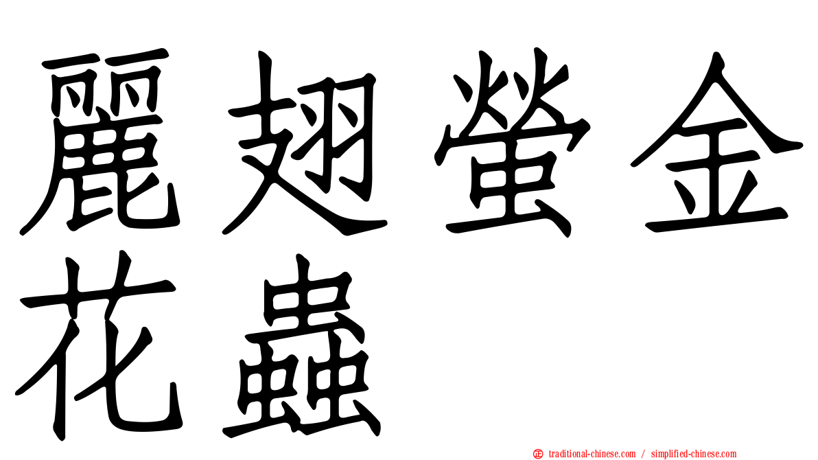 麗翅螢金花蟲