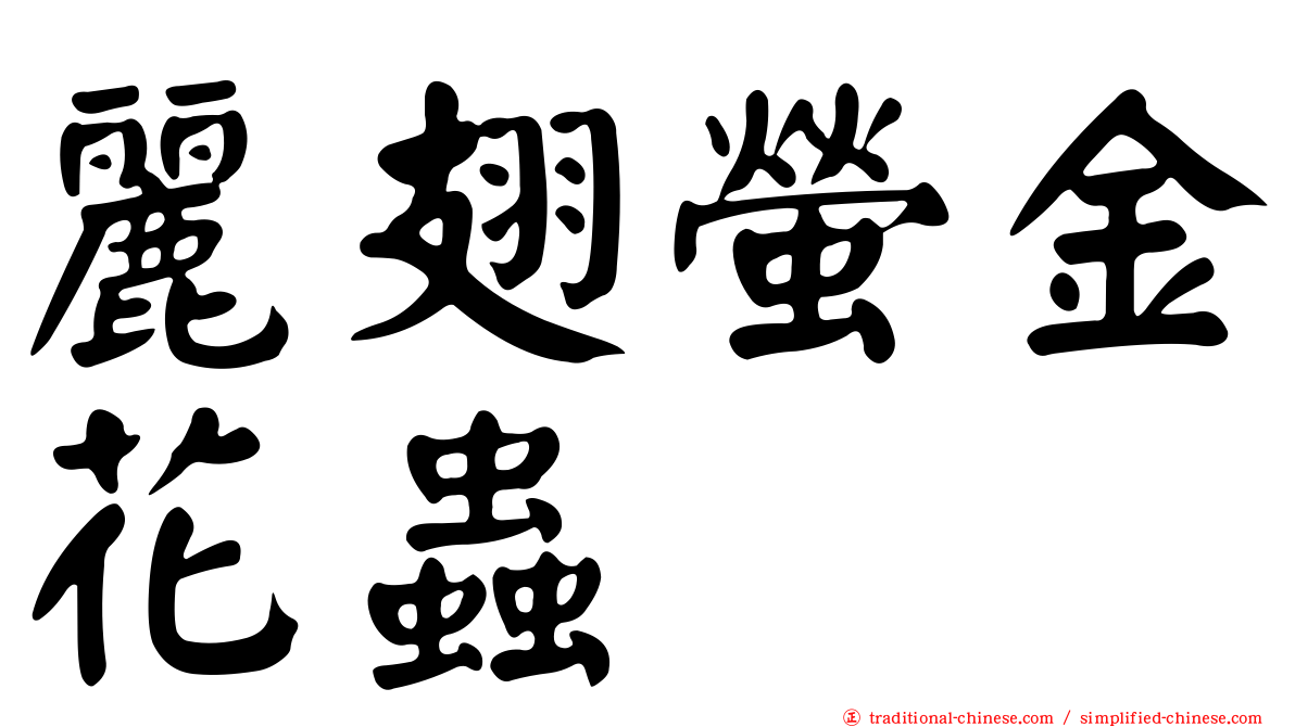麗翅螢金花蟲