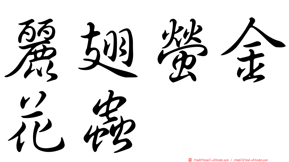 麗翅螢金花蟲