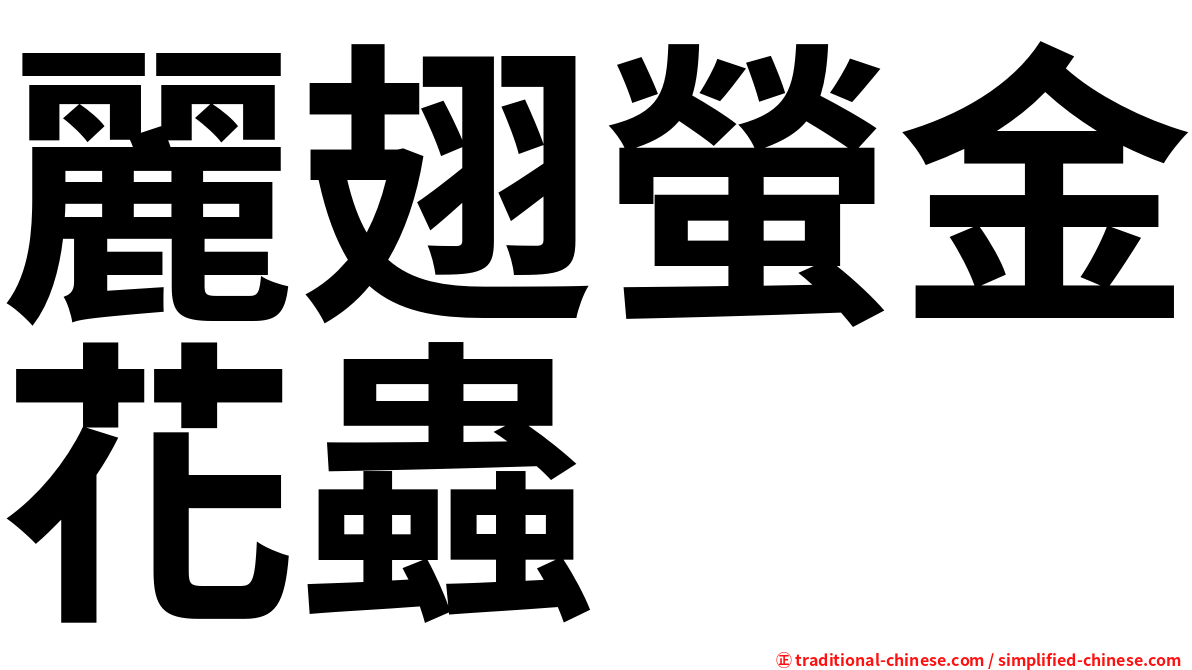麗翅螢金花蟲