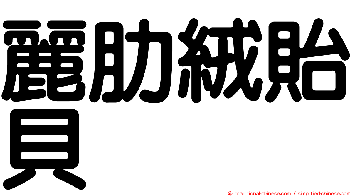 麗肋絨貽貝