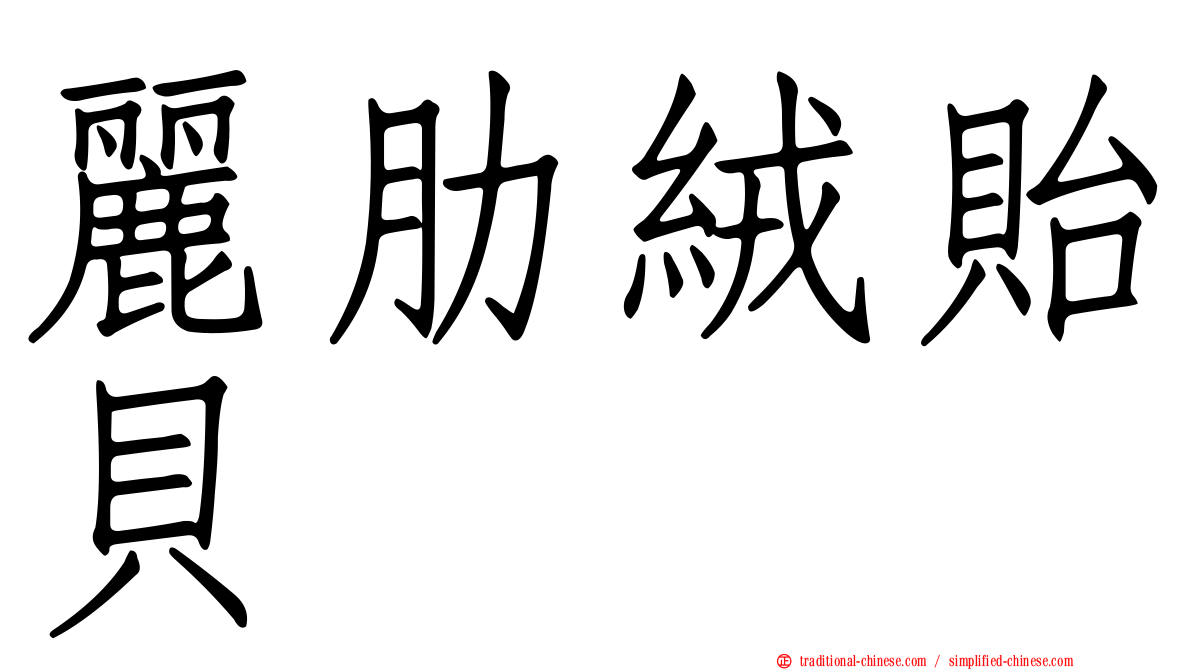 麗肋絨貽貝