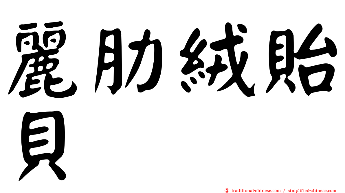 麗肋絨貽貝