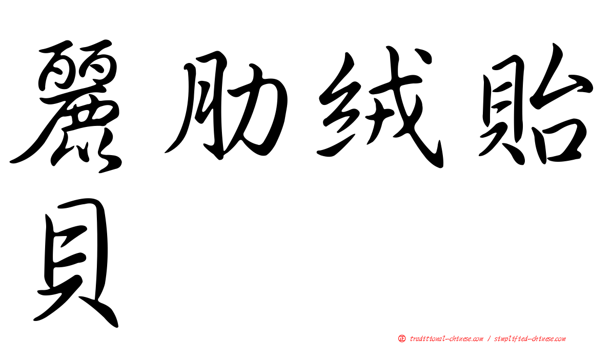 麗肋絨貽貝