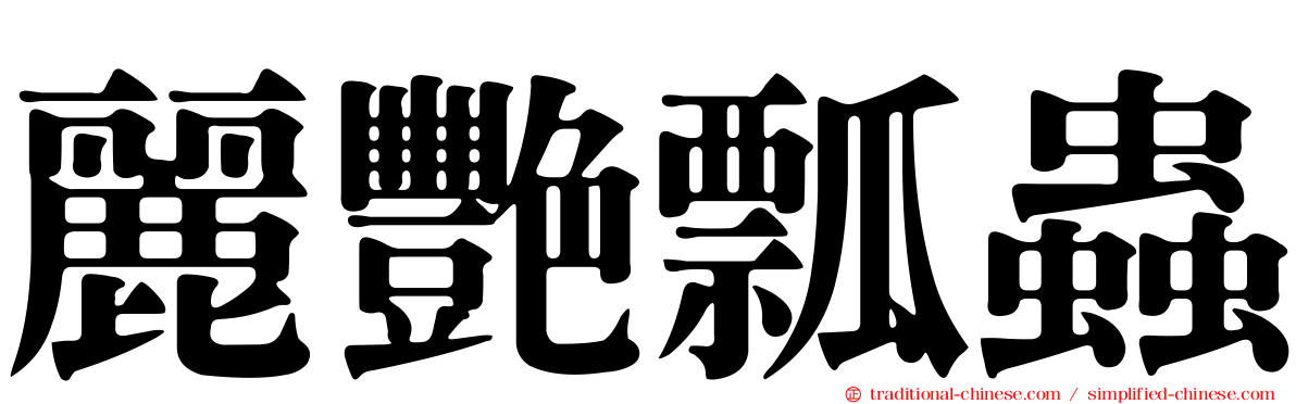麗艷瓢蟲