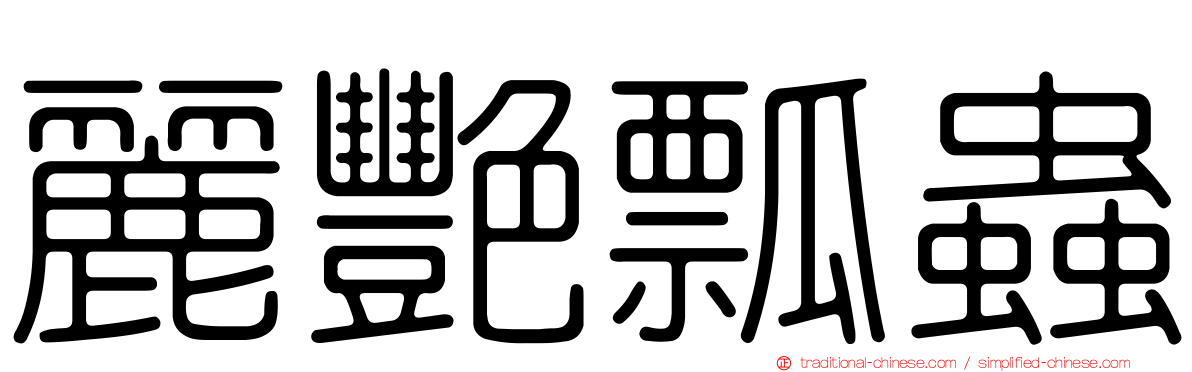 麗艷瓢蟲