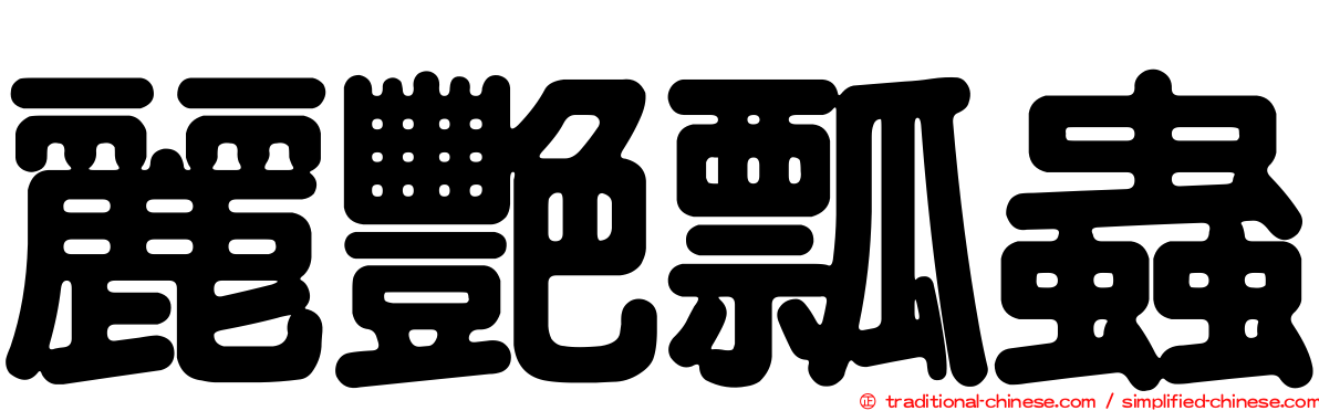 麗艷瓢蟲