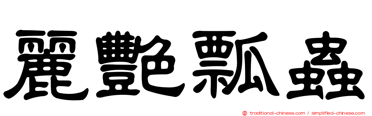麗艷瓢蟲