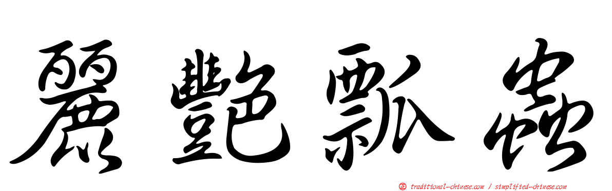 麗艷瓢蟲