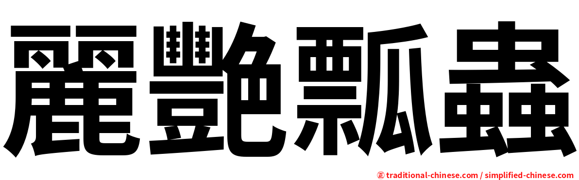 麗艷瓢蟲