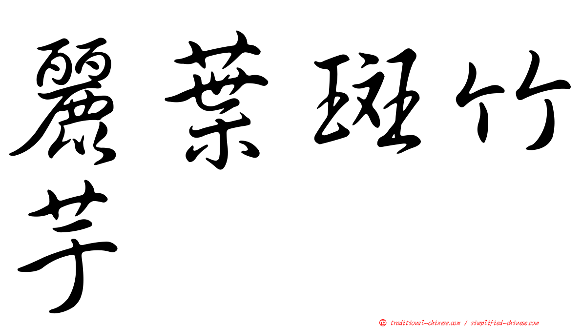 麗葉斑竹芋