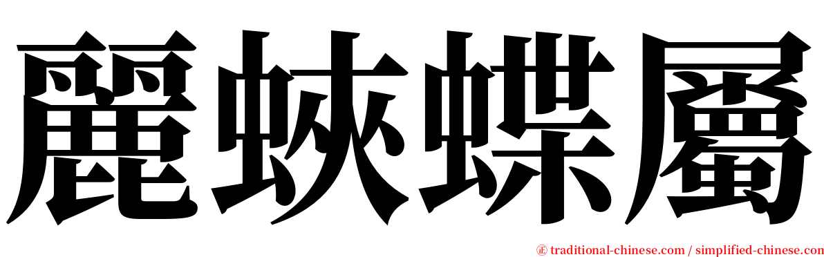 麗蛺蝶屬 serif font