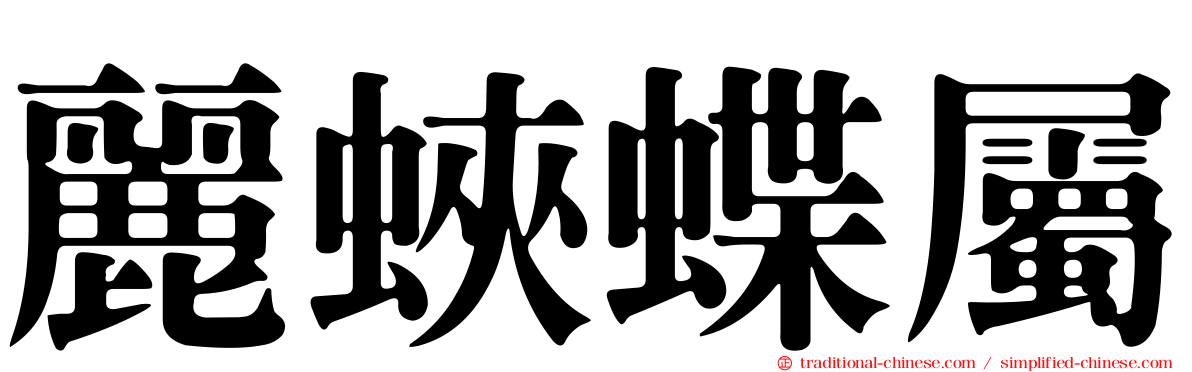 麗蛺蝶屬