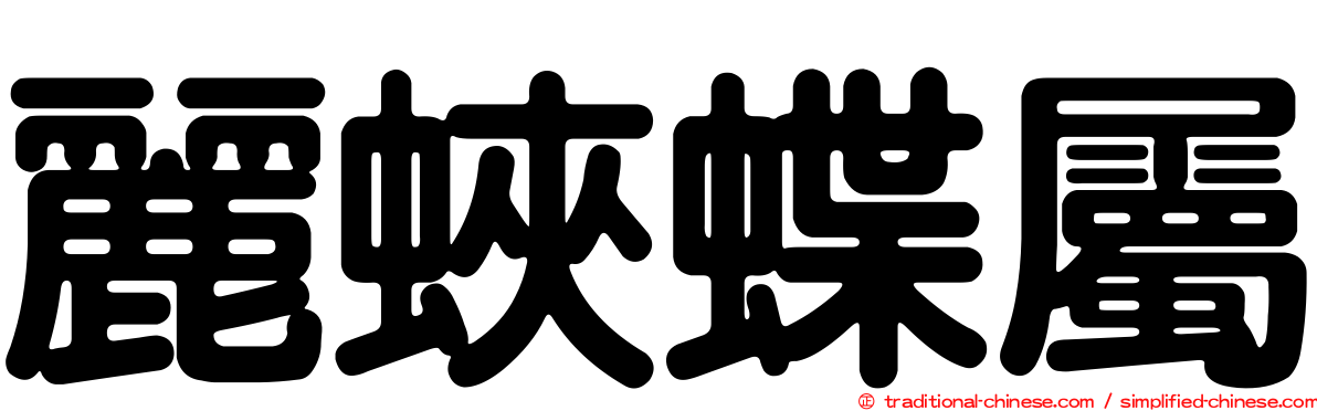 麗蛺蝶屬