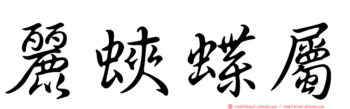 麗蛺蝶屬