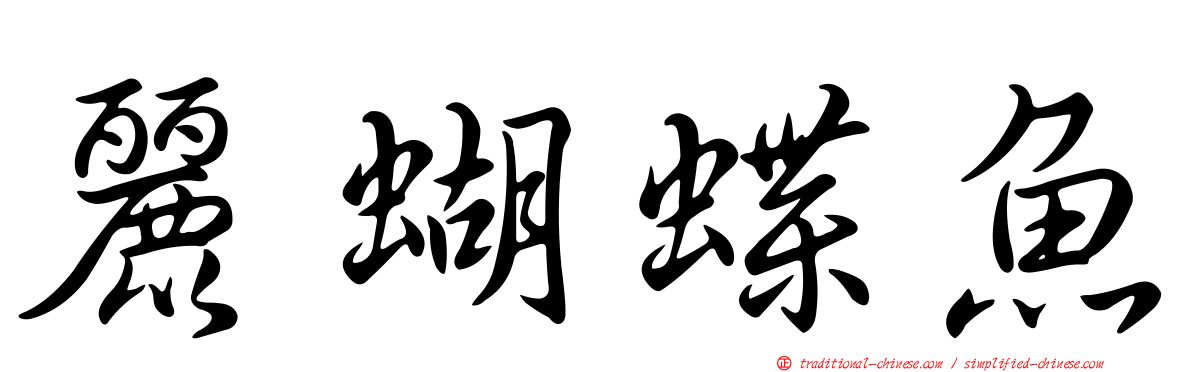 麗蝴蝶魚