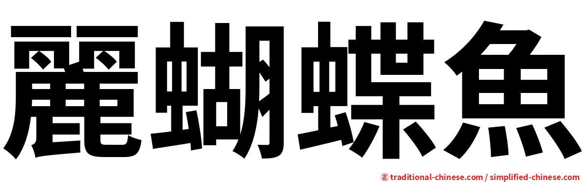 麗蝴蝶魚