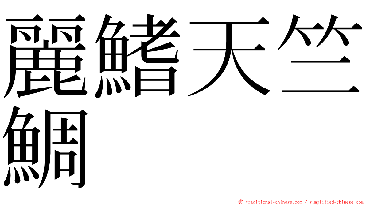 麗鰭天竺鯛 ming font