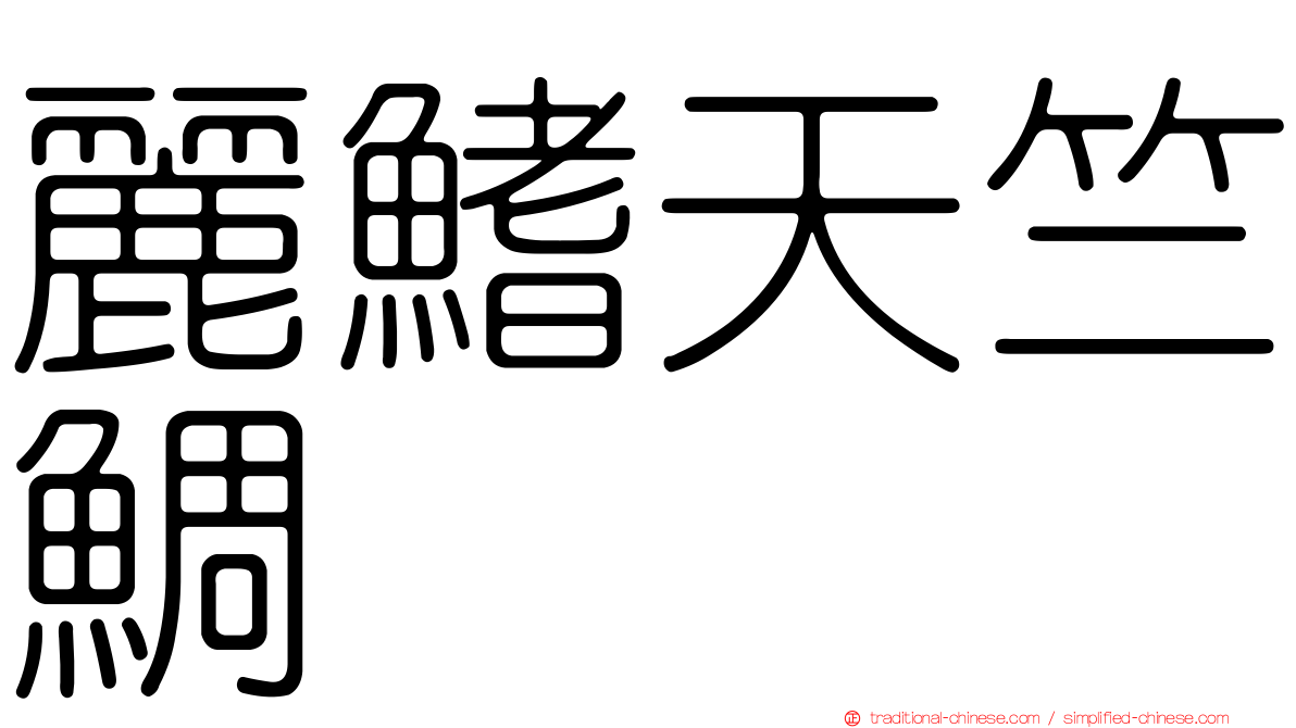 麗鰭天竺鯛