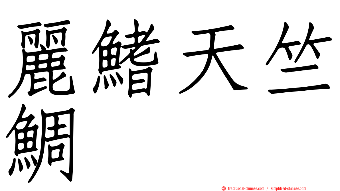 麗鰭天竺鯛