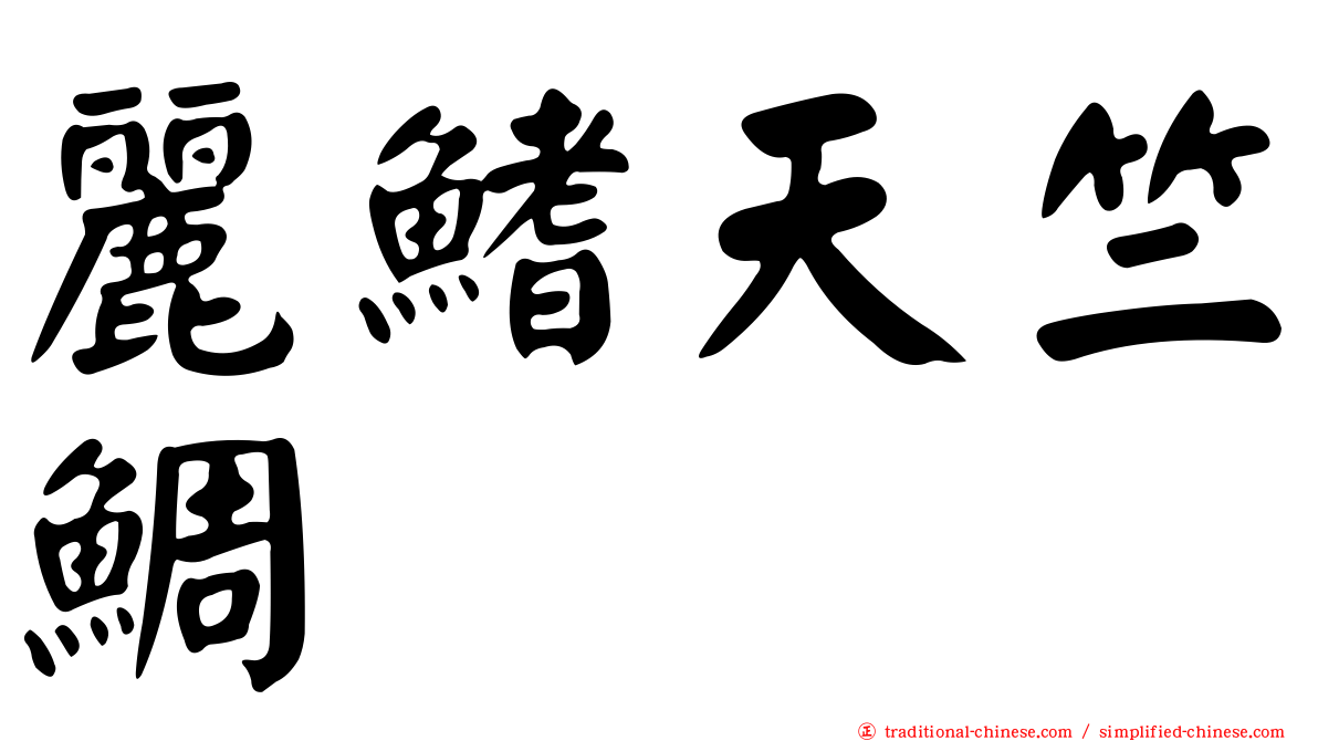 麗鰭天竺鯛