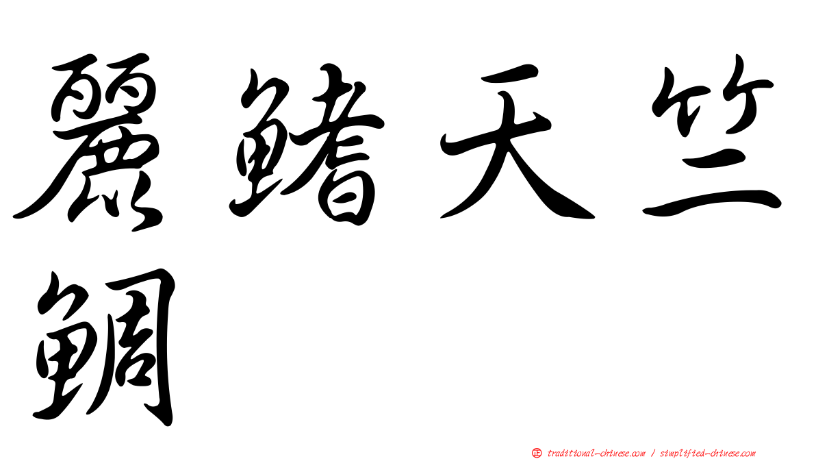 麗鰭天竺鯛