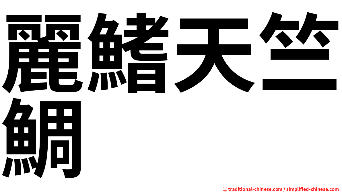 麗鰭天竺鯛