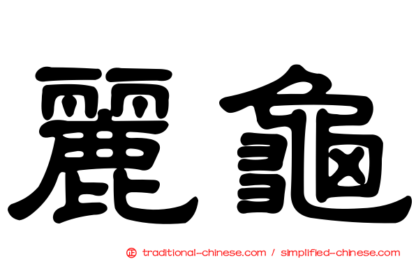 麗龜