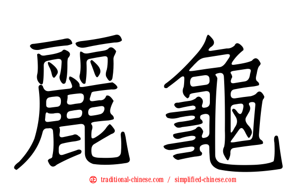 麗龜