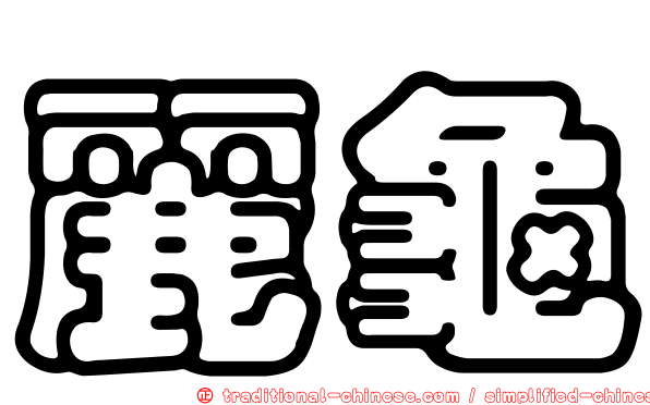 麗龜