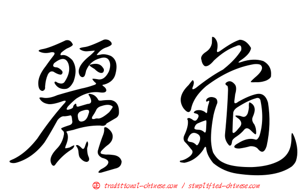 麗龜