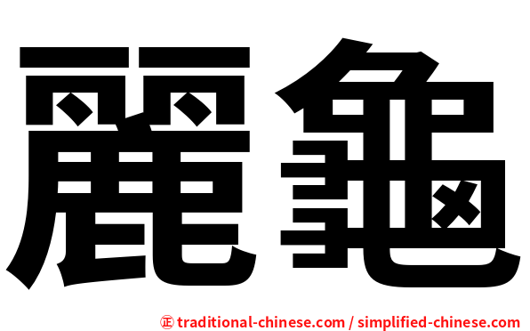 麗龜