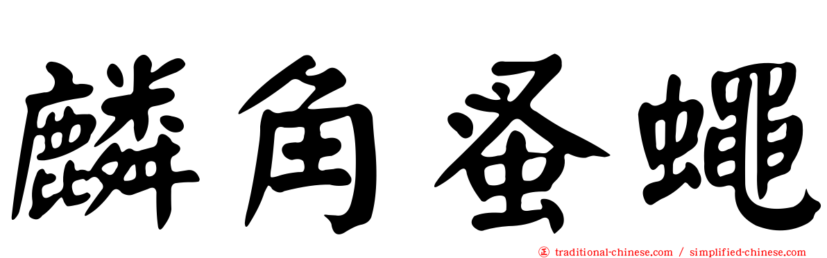 麟角蚤蠅