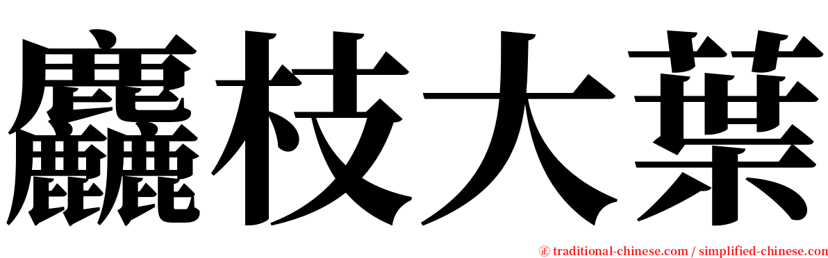 麤枝大葉 serif font